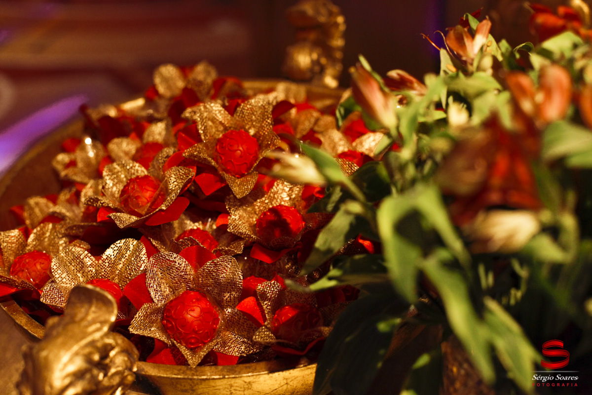 fotografia-fotografo-fotos-cuiaba-mt-sergio-soares-aniver-aniversario-15-anos-debutante-carol-las-vegas