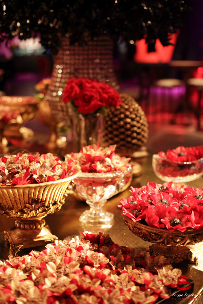 fotografia-fotografo-fotos-cuiaba-mt-sergio-soares-aniver-aniversario-15-anos-debutante-carol-las-vegas