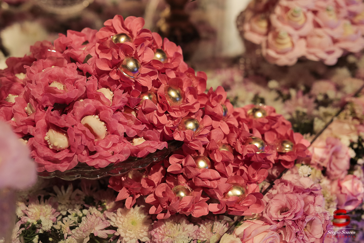 fotografia-fotografo-fotos-sergio-soares-cuiaba-mt-mato-grosso-brasil-aniversario-16-anos-leticia-buffet-leila-malouf