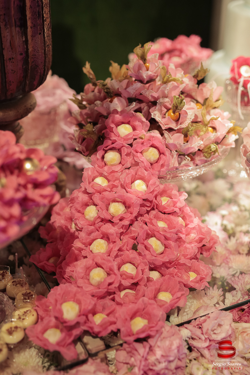 fotografia-fotografo-fotos-sergio-soares-cuiaba-mt-mato-grosso-brasil-aniversario-16-anos-leticia-buffet-leila-malouf