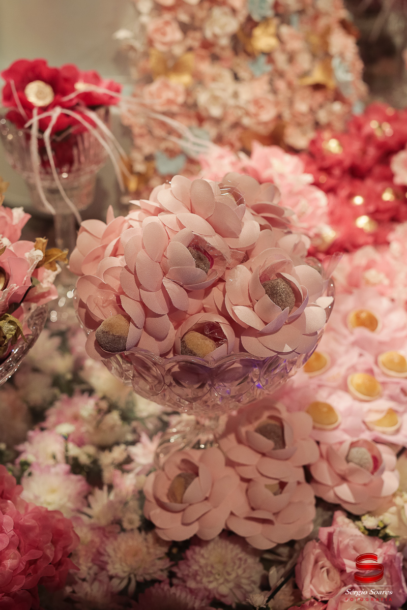 fotografia-fotografo-fotos-sergio-soares-cuiaba-mt-mato-grosso-brasil-aniversario-16-anos-leticia-buffet-leila-malouf