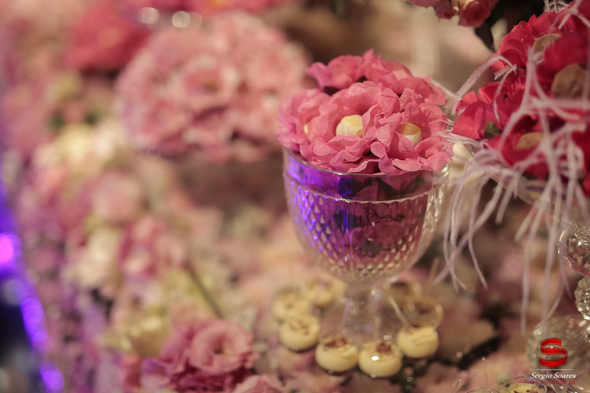 fotografia-fotografo-fotos-sergio-soares-cuiaba-mt-mato-grosso-brasil-aniversario-16-anos-leticia-buffet-leila-malouf