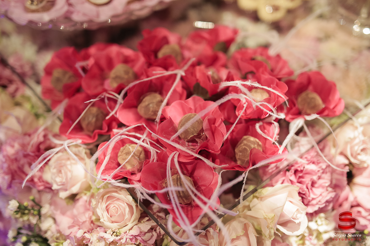 fotografia-fotografo-fotos-sergio-soares-cuiaba-mt-mato-grosso-brasil-aniversario-16-anos-leticia-buffet-leila-malouf