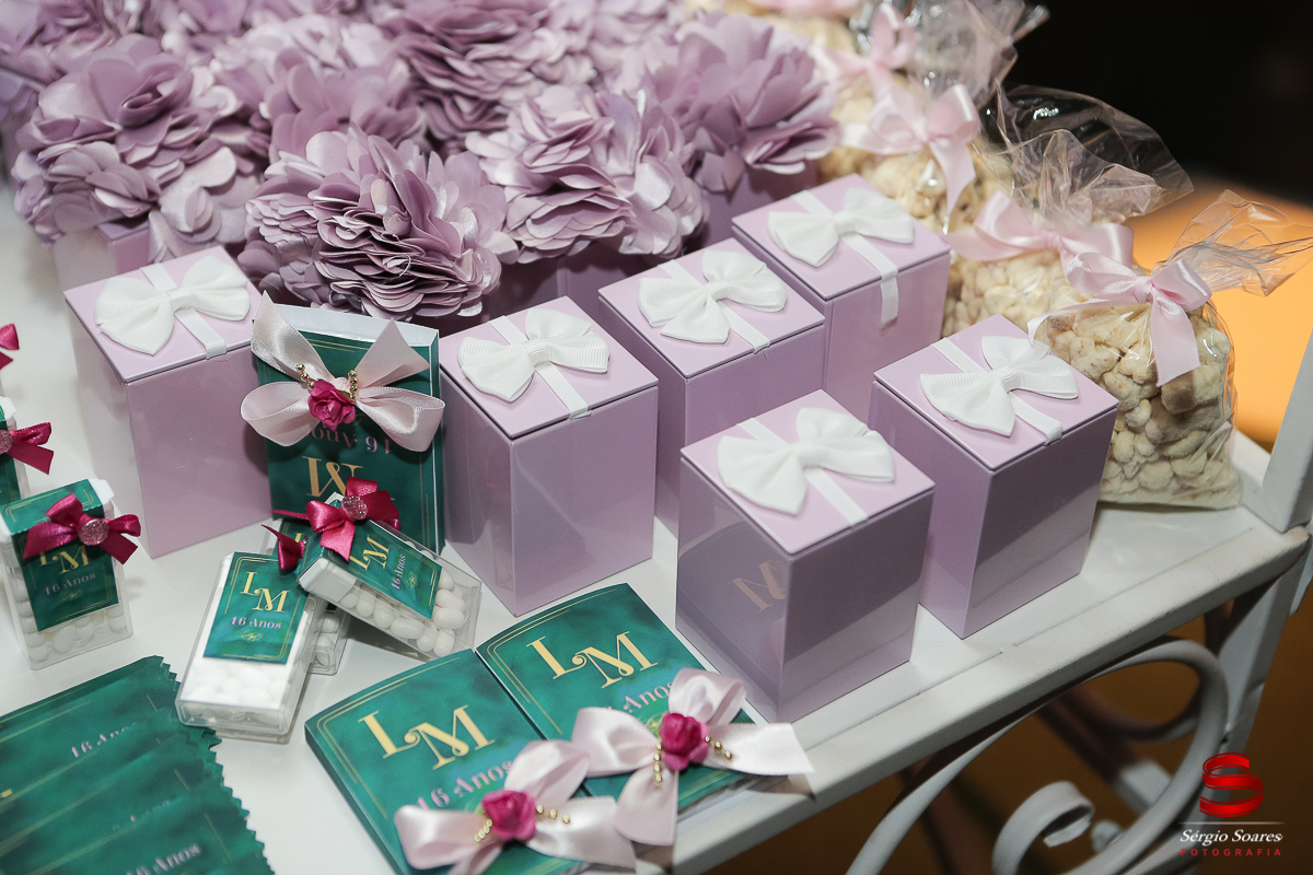 fotografia-fotografo-fotos-sergio-soares-cuiaba-mt-mato-grosso-brasil-aniversario-16-anos-leticia-buffet-leila-malouf