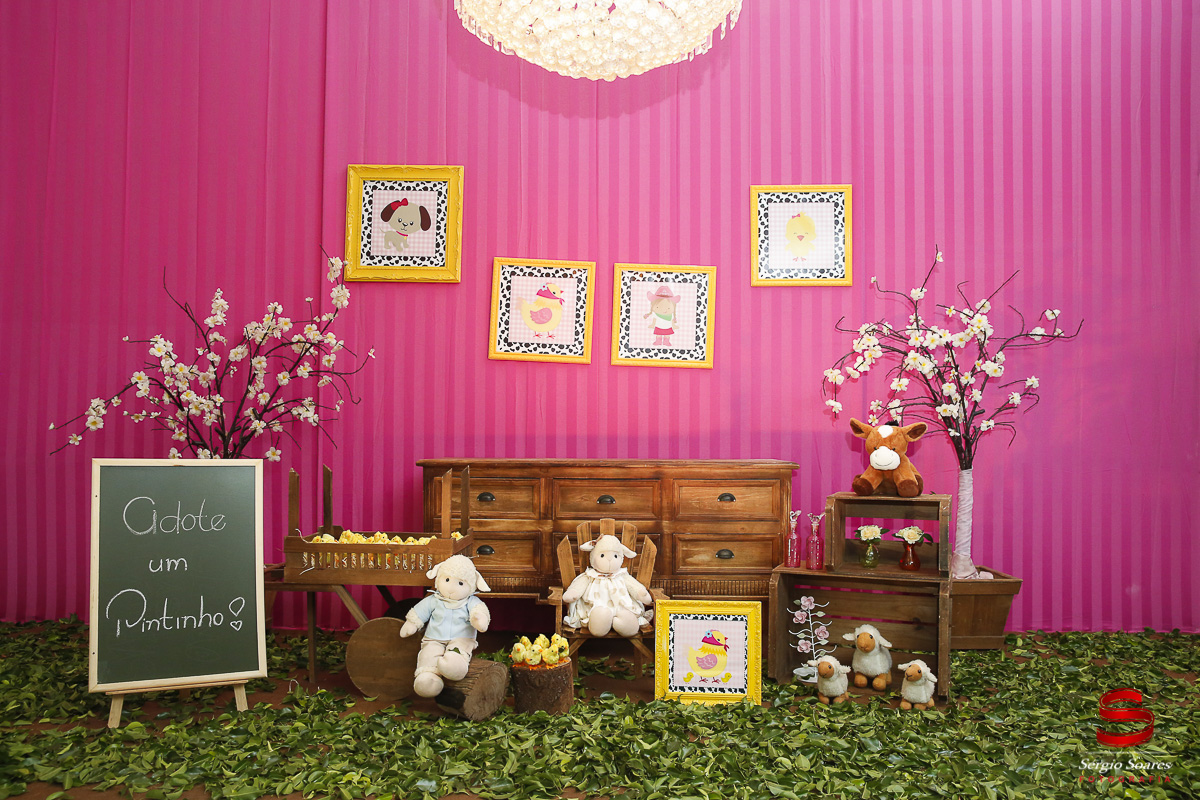 fotografia-fotografo-fotos-cuiaba-mt-sergio-soares-aniversario-luiza