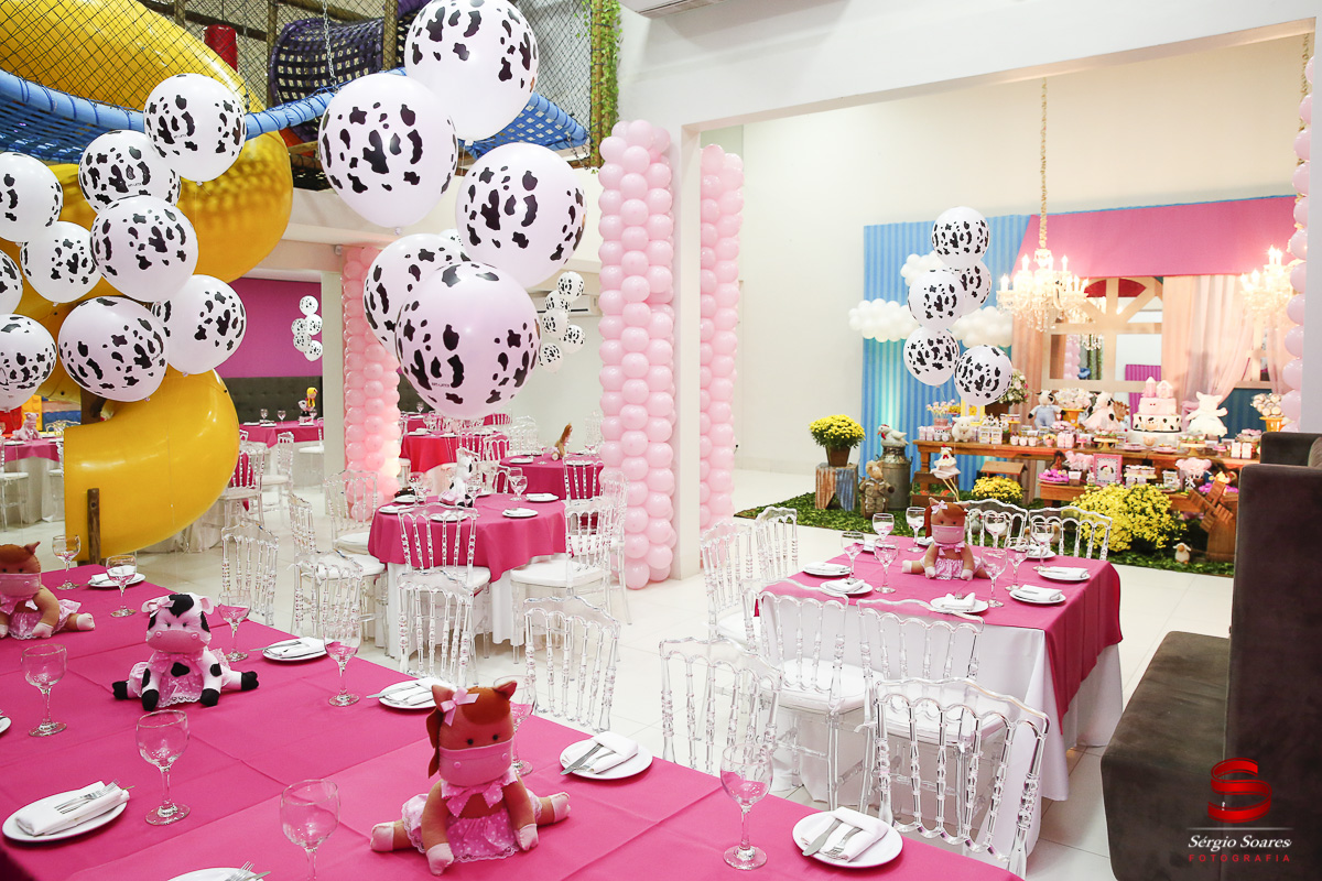 fotografia-fotografo-fotos-cuiaba-mt-sergio-soares-aniversario-luiza