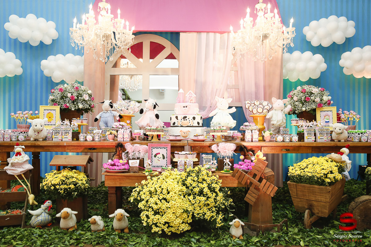 fotografia-fotografo-fotos-cuiaba-mt-sergio-soares-aniversario-luiza