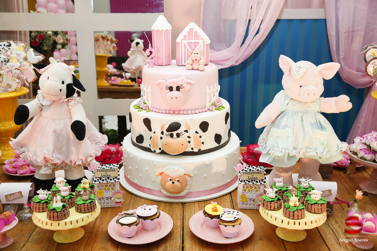 fotografia-fotografo-fotos-cuiaba-mt-sergio-soares-aniversario-luiza