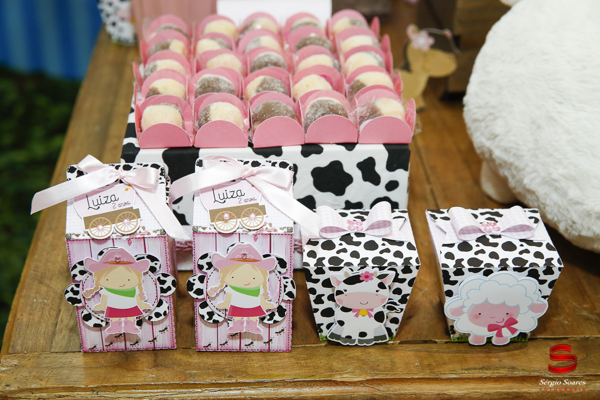 fotografia-fotografo-fotos-cuiaba-mt-sergio-soares-aniversario-luiza