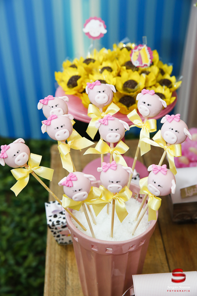 fotografia-fotografo-fotos-cuiaba-mt-sergio-soares-aniversario-luiza