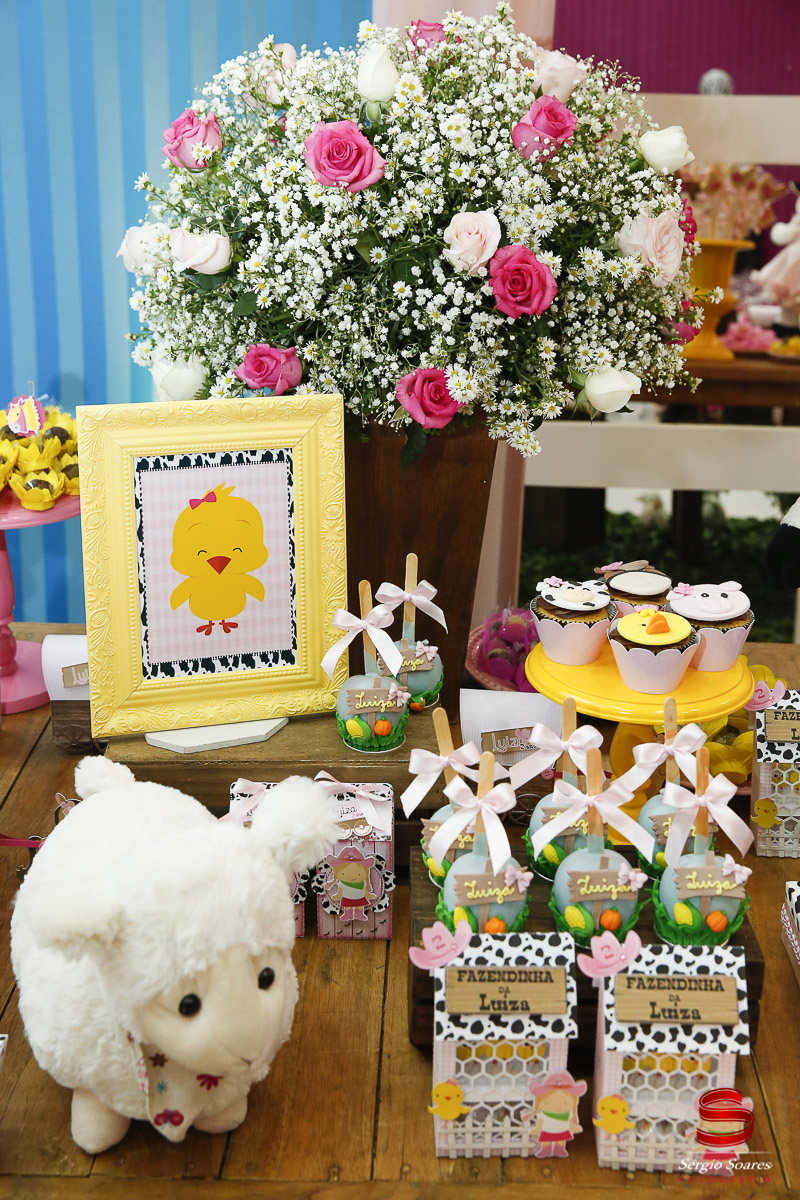 fotografia-fotografo-fotos-cuiaba-mt-sergio-soares-aniversario-luiza