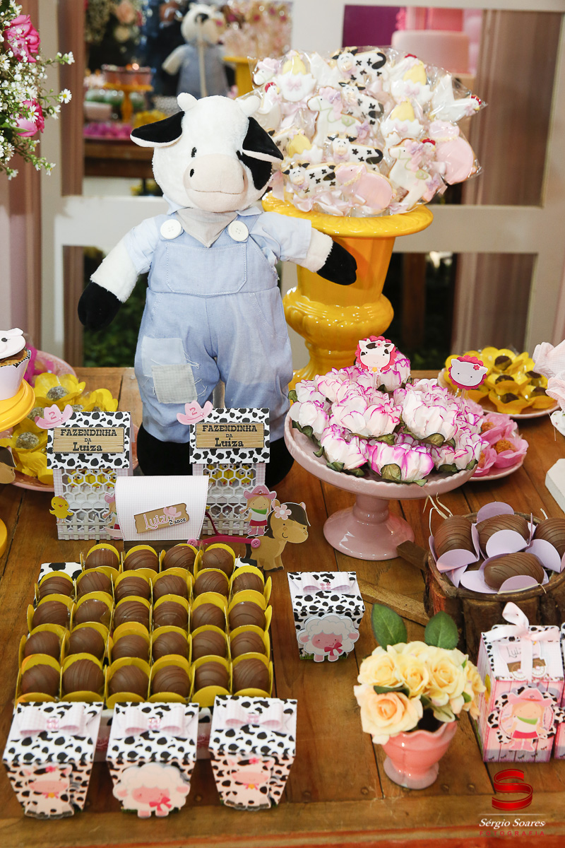 fotografia-fotografo-fotos-cuiaba-mt-sergio-soares-aniversario-luiza