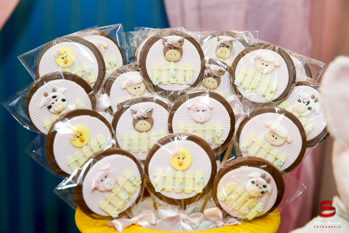 fotografia-fotografo-fotos-cuiaba-mt-sergio-soares-aniversario-luiza