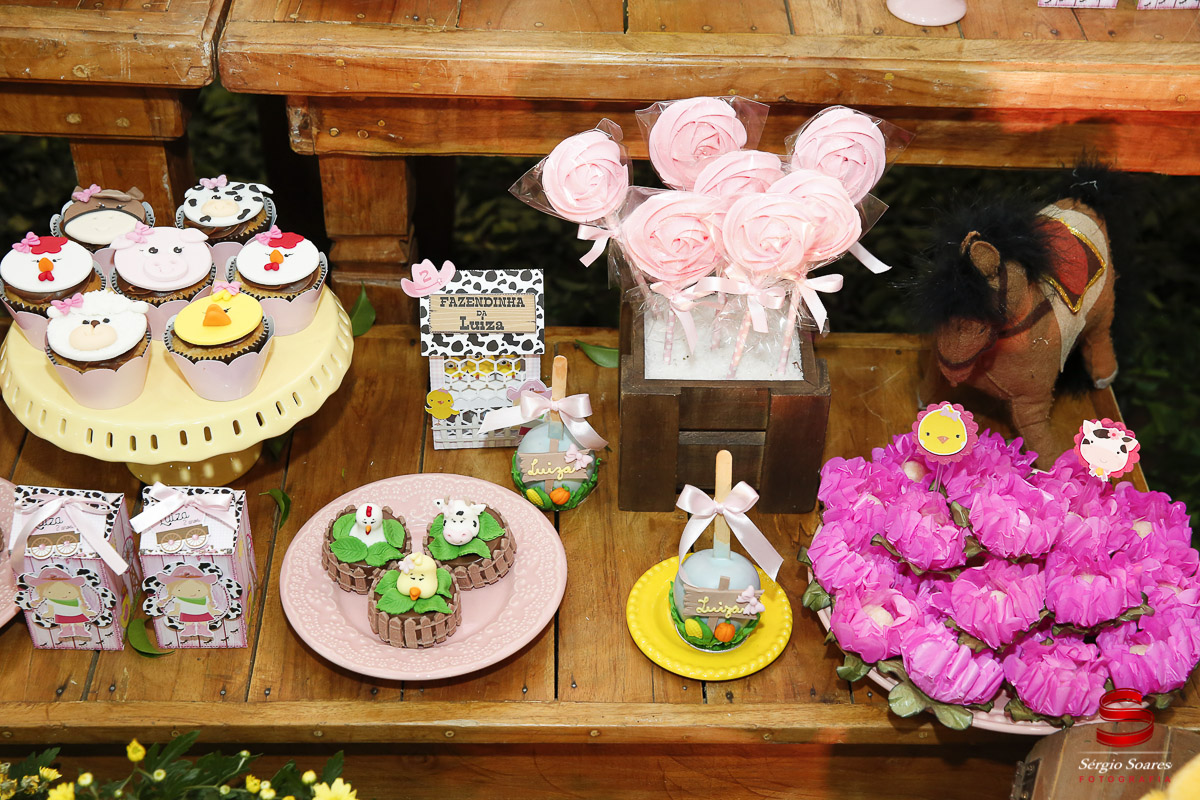 fotografia-fotografo-fotos-cuiaba-mt-sergio-soares-aniversario-luiza