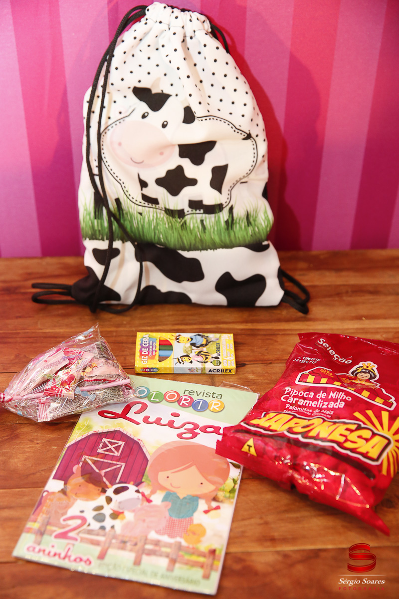 fotografia-fotografo-fotos-cuiaba-mt-sergio-soares-aniversario-luiza