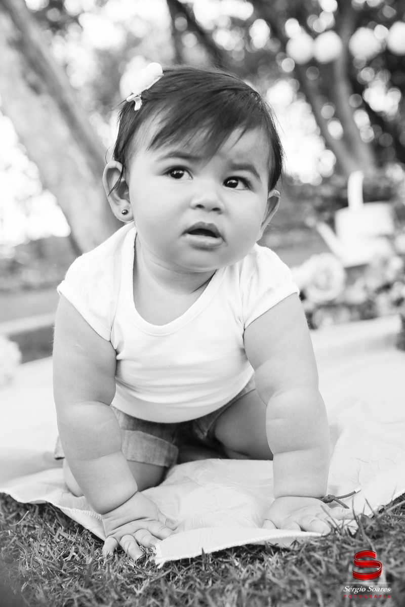 fotografia-fotografo-fotos-sergio-soares-cuiaba-mt-mato-grosso-brasil-book-helena-1-ano