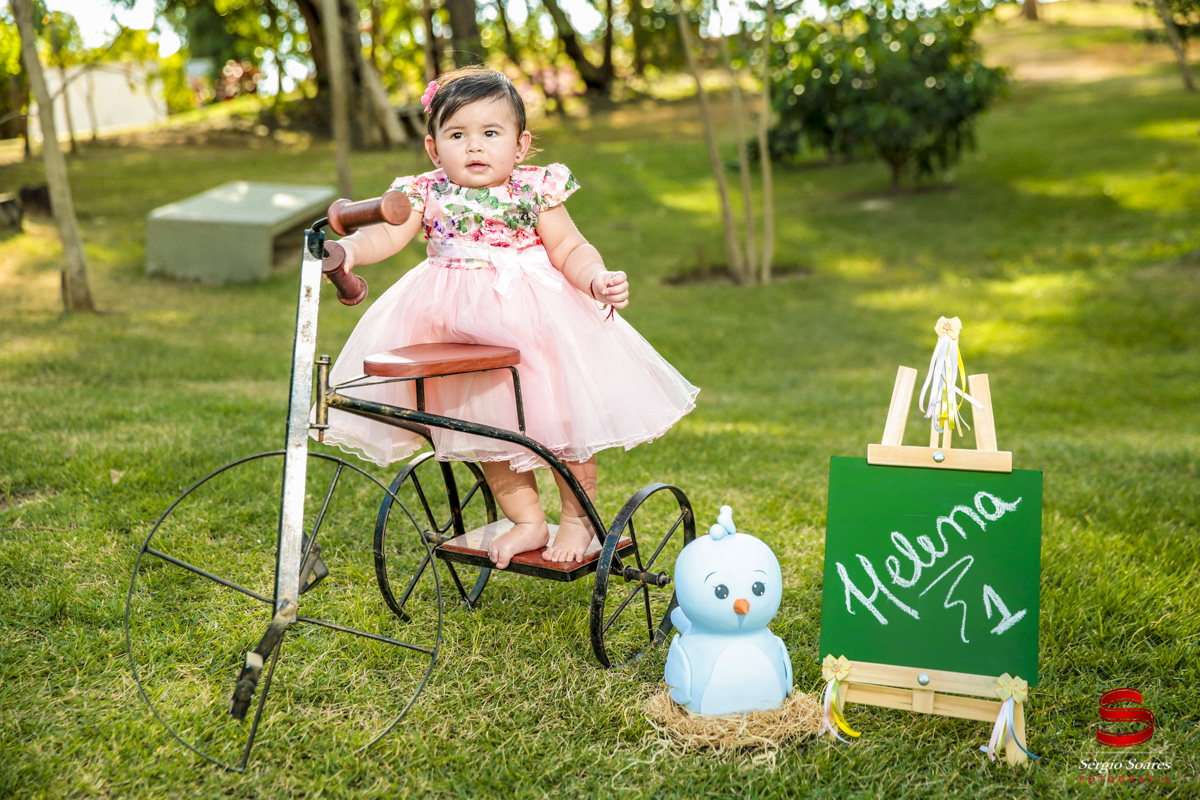fotografia-fotografo-fotos-sergio-soares-cuiaba-mt-mato-grosso-brasil-book-helena-1-ano
