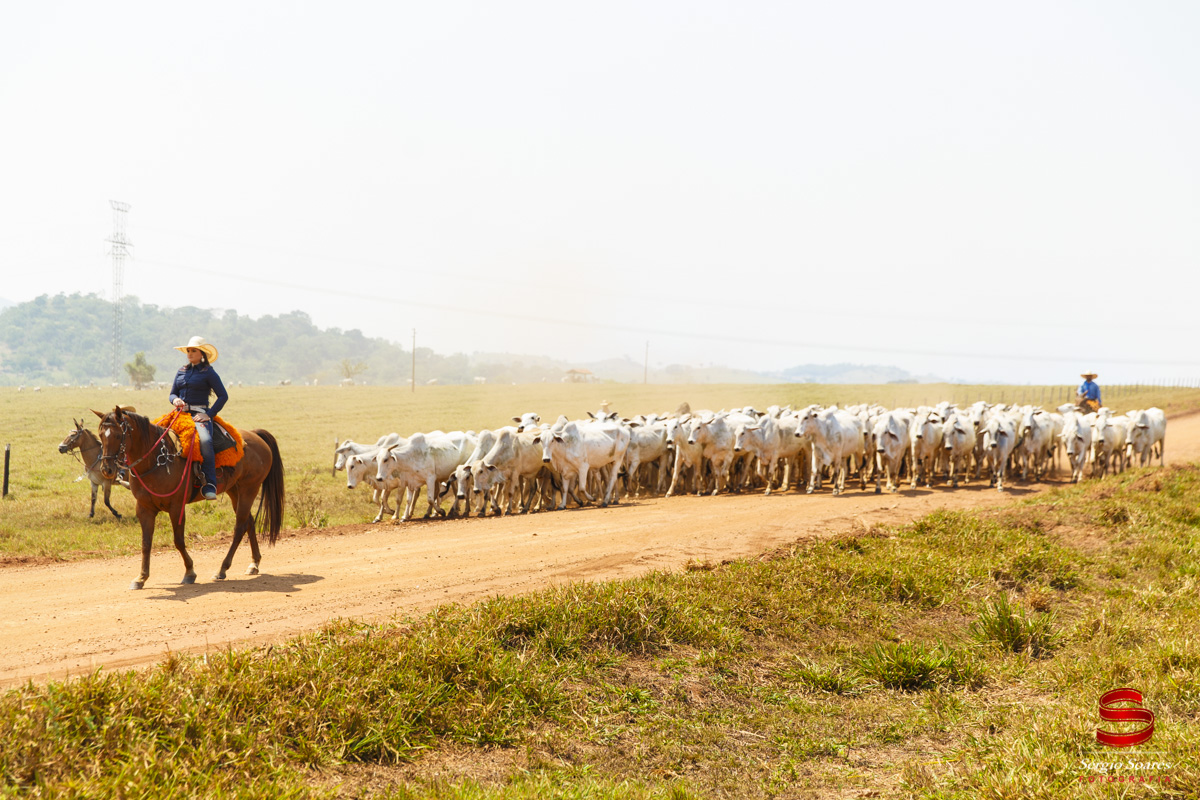 fotografia-fotografo-fotos-cuiaba-mt-sergio-soares-mato-grosso-book-araputanga-rafaela-country