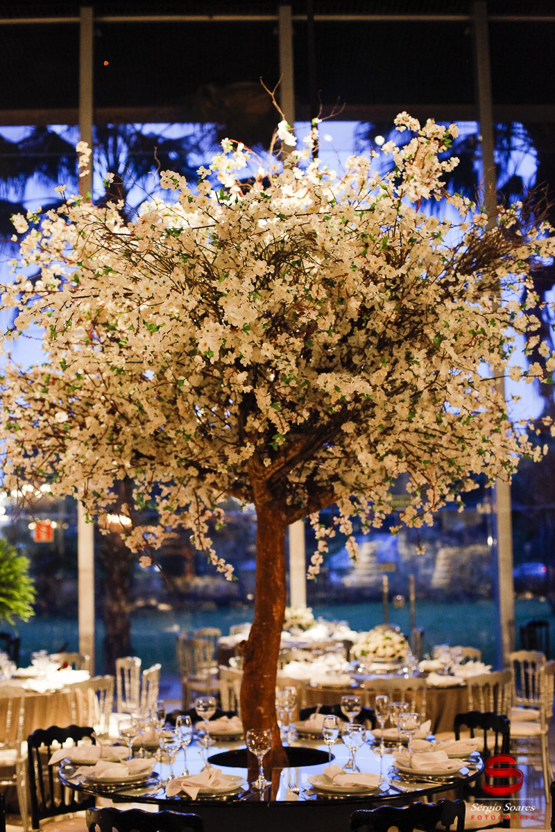 fotografia-fotografo-fotos-cuiaba-mt-mato-grosso-sergio-soares-casamento-maria-patricia-danilo