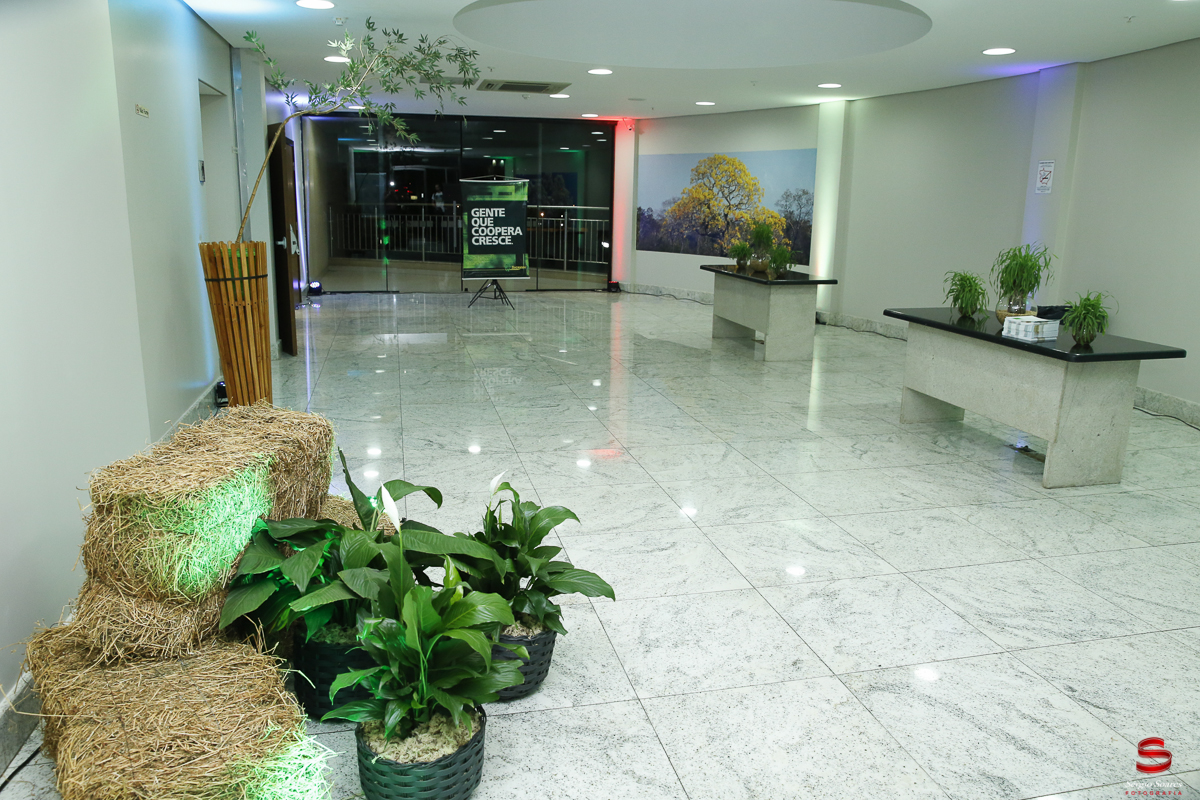 sergio-soares-fotografia-fotografo-fotos-casamento-noiva-cuiaba-mt-matogrosso-sicredi-assembleia-2016