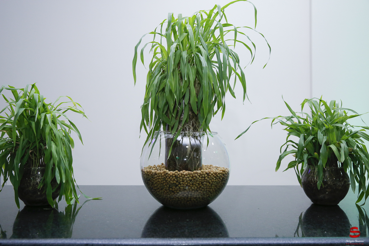 sergio-soares-fotografia-fotografo-fotos-casamento-noiva-cuiaba-mt-matogrosso-sicredi-assembleia-2016