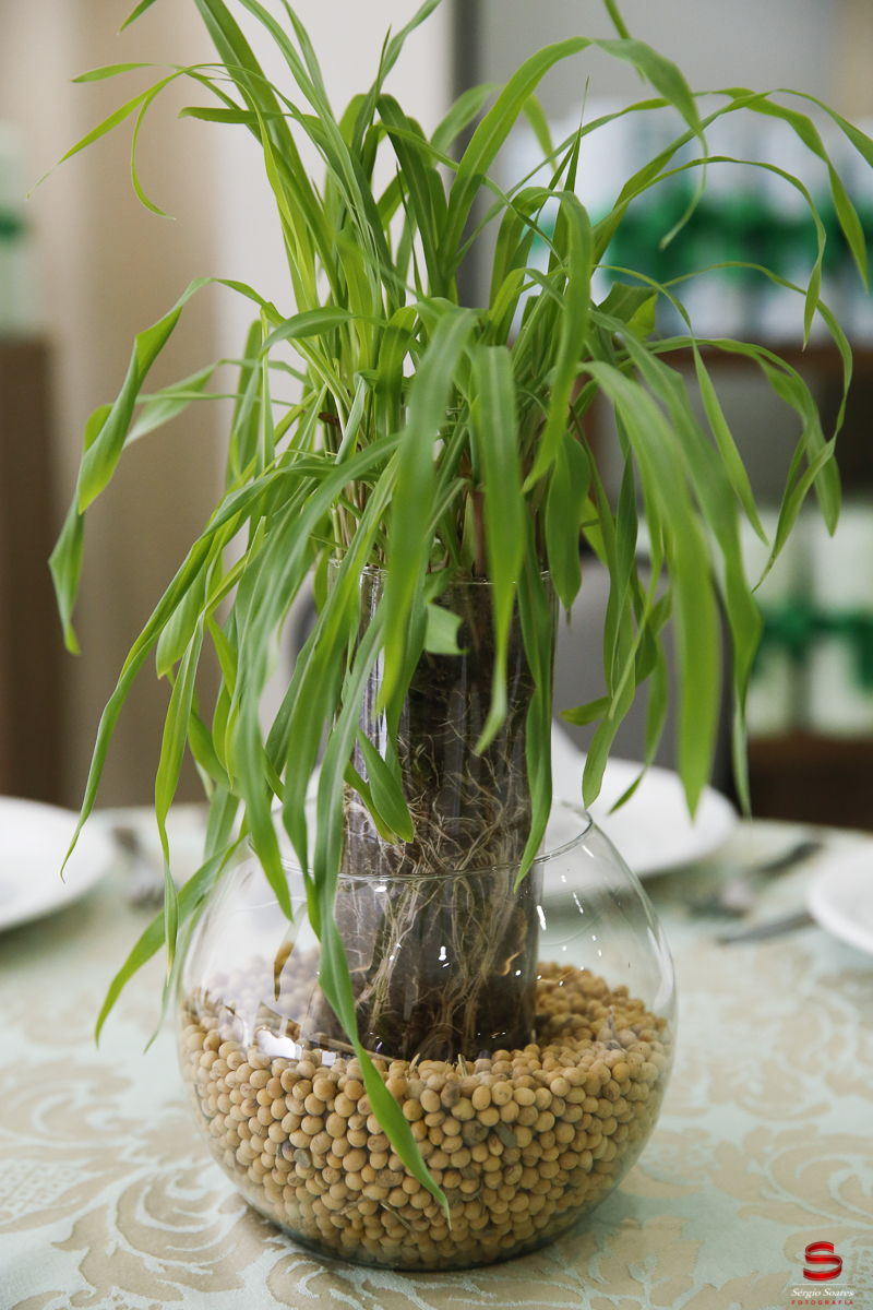 sergio-soares-fotografia-fotografo-fotos-casamento-noiva-cuiaba-mt-matogrosso-sicredi-assembleia-2016