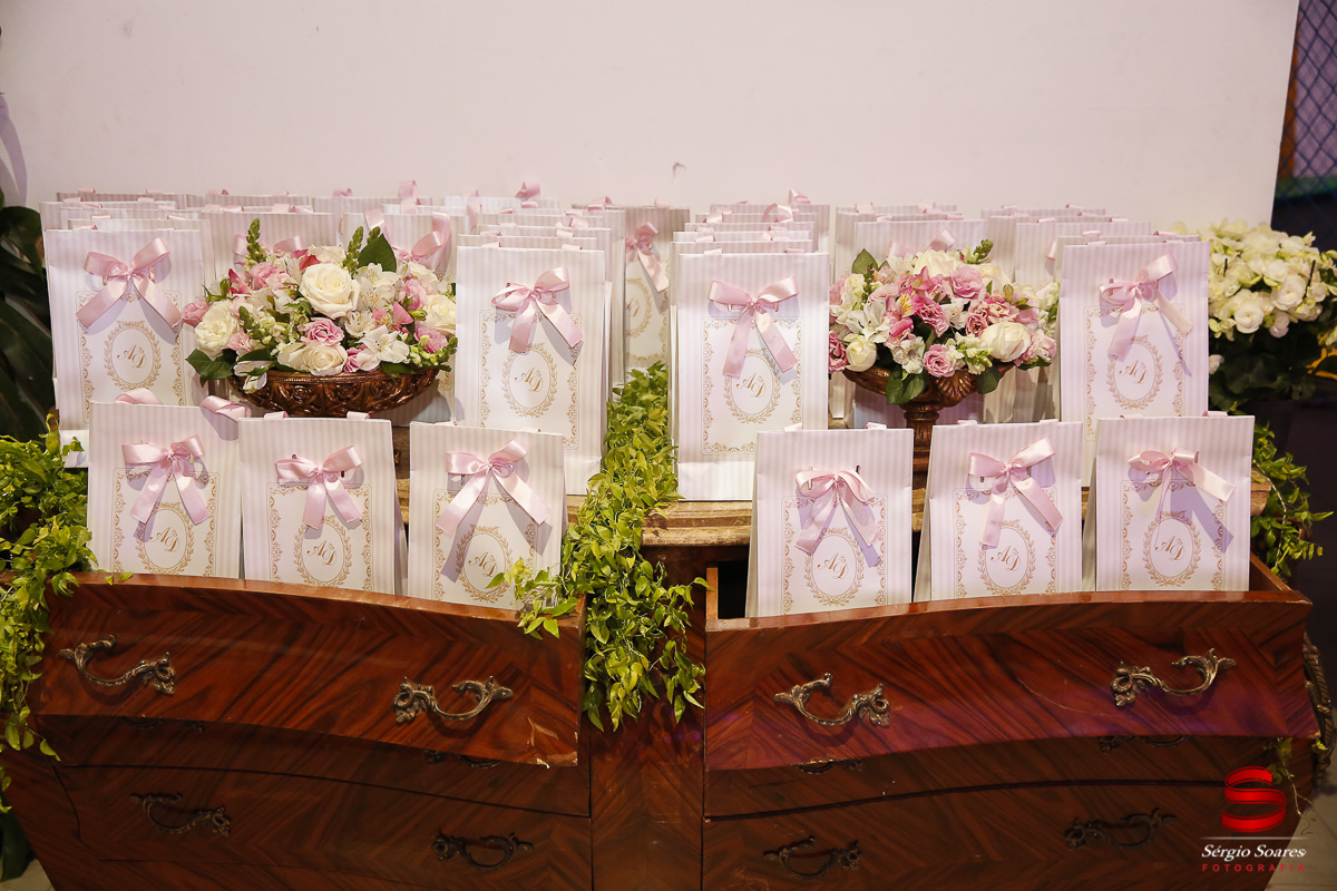 fotografia-fotografo-fotos-cuiaba-mt-sergio-soares-mato-grosso-aniversario-1-ano-ailla