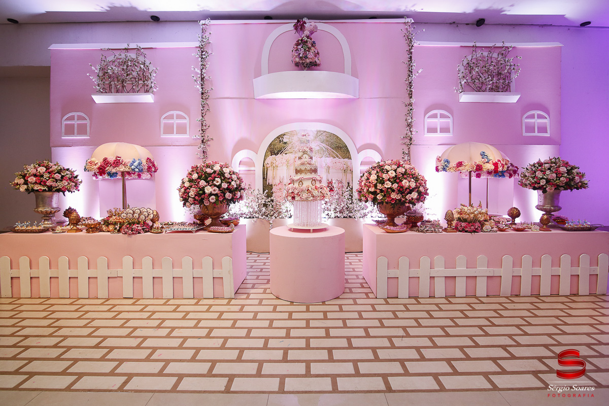 fotografia-fotografo-fotos-cuiaba-mt-sergio-soares-mato-grosso-aniversario-1-ano-ailla