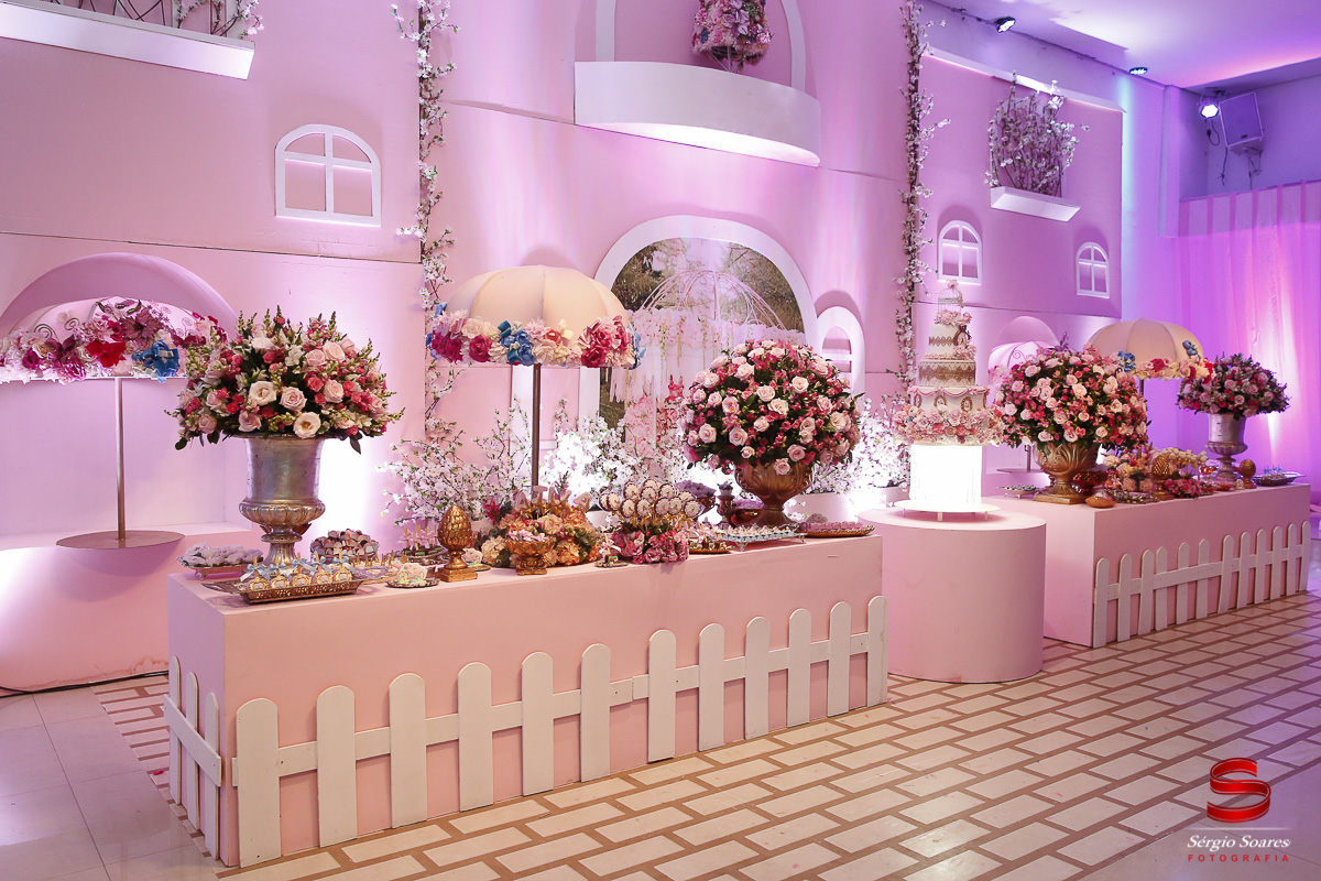 fotografia-fotografo-fotos-cuiaba-mt-sergio-soares-mato-grosso-aniversario-1-ano-ailla