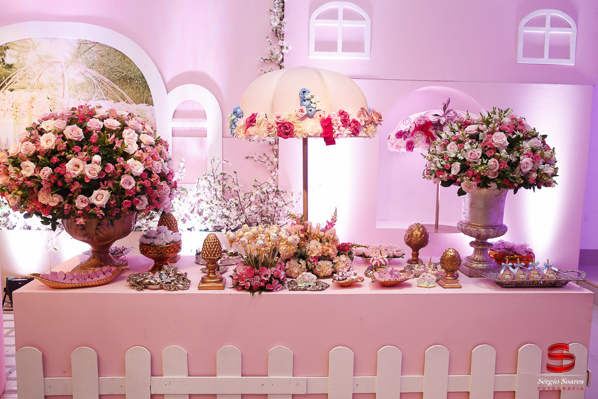 fotografia-fotografo-fotos-cuiaba-mt-sergio-soares-mato-grosso-aniversario-1-ano-ailla