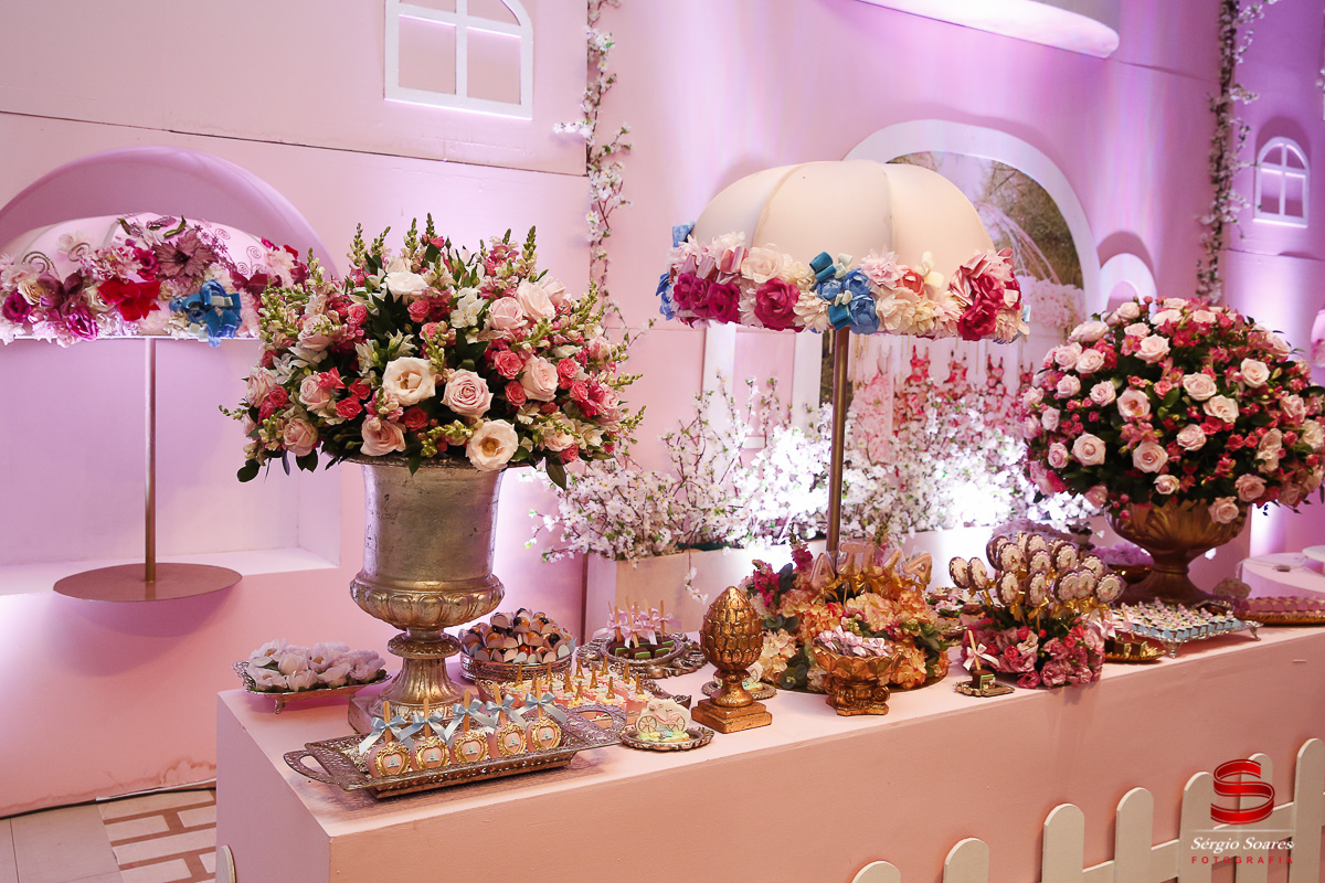 fotografia-fotografo-fotos-cuiaba-mt-sergio-soares-mato-grosso-aniversario-1-ano-ailla