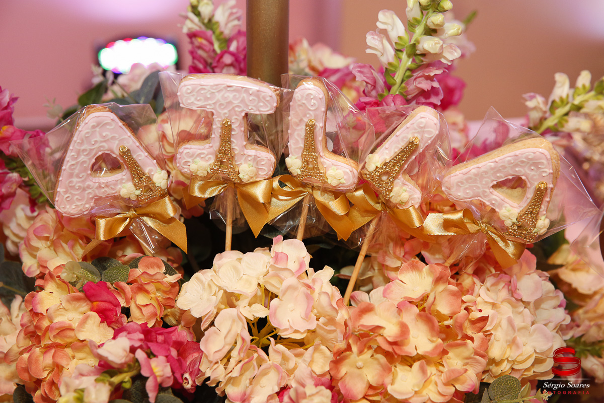 fotografia-fotografo-fotos-cuiaba-mt-sergio-soares-mato-grosso-aniversario-1-ano-ailla