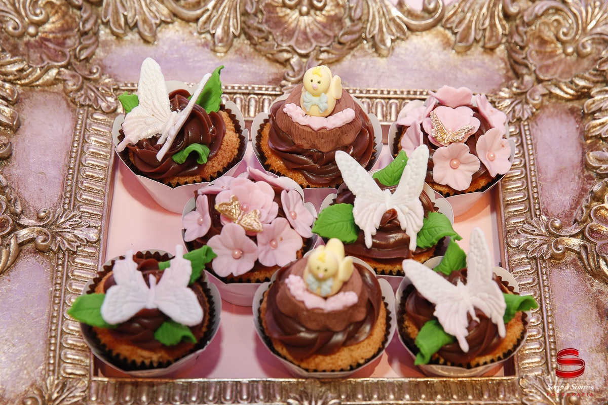 fotografia-fotografo-fotos-cuiaba-mt-sergio-soares-mato-grosso-aniversario-1-ano-ailla