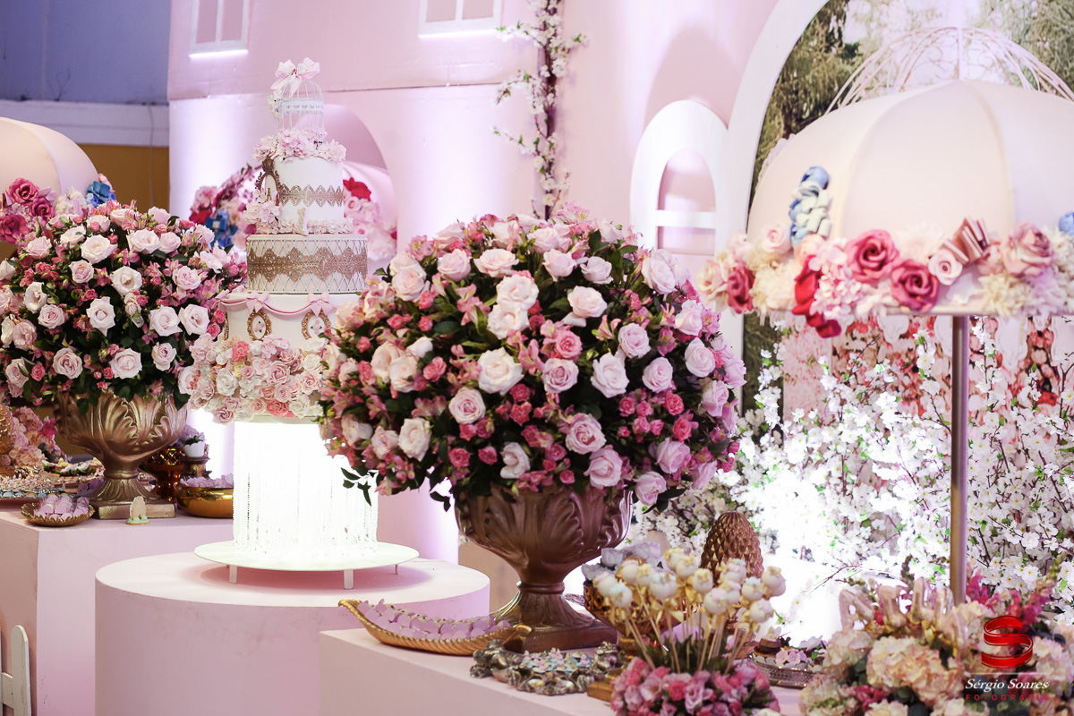 fotografia-fotografo-fotos-cuiaba-mt-sergio-soares-mato-grosso-aniversario-1-ano-ailla