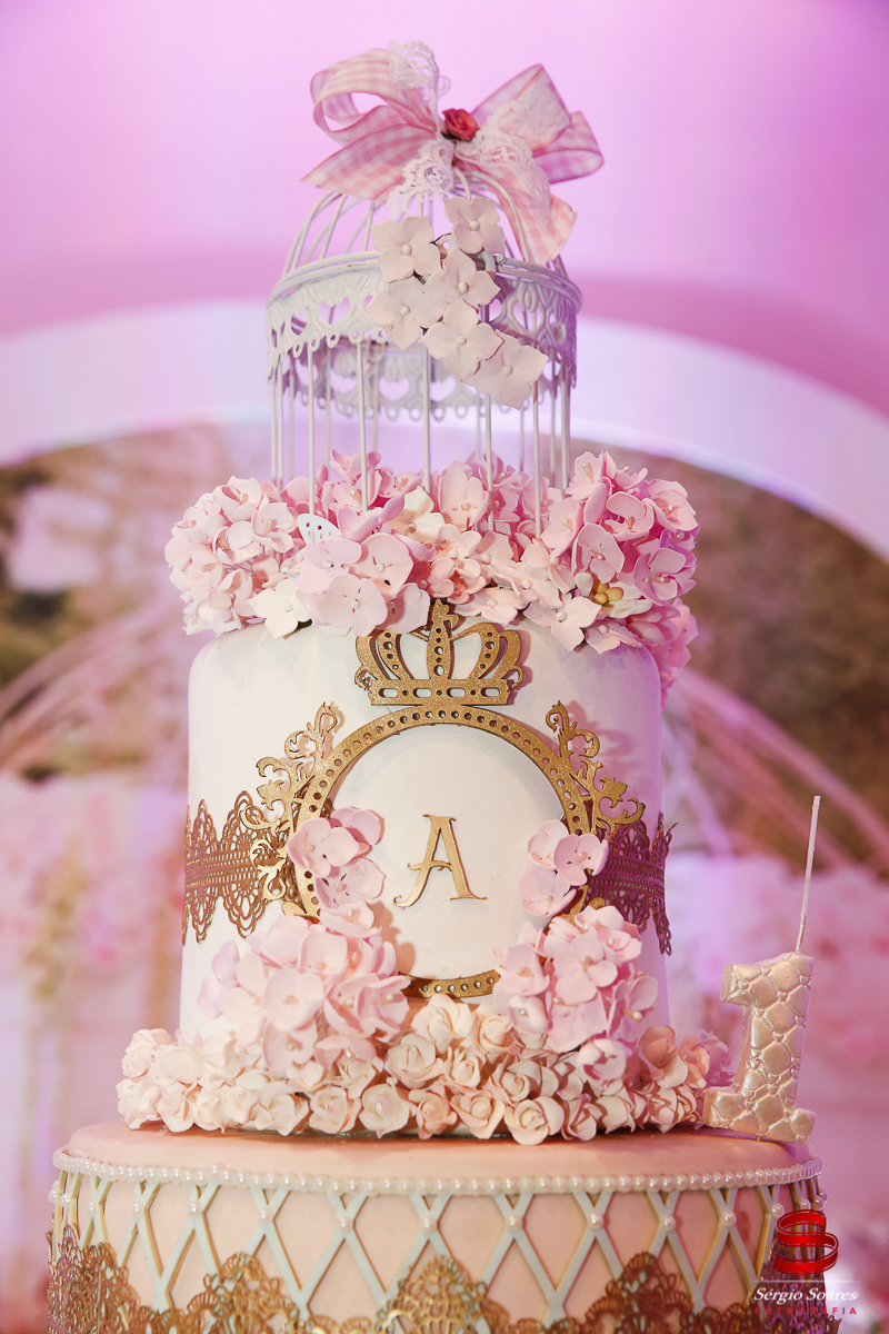 fotografia-fotografo-fotos-cuiaba-mt-sergio-soares-mato-grosso-aniversario-1-ano-aillafotografia-fotografo-fotos-cuiaba-mt-sergio-soares-mato-grosso-aniversario-1-ano-ailla