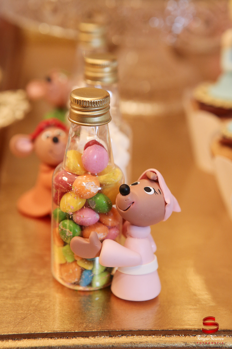 fotografia-fotografo-fotos-cuiaba-mt-sergio-soares-aniversario-julia