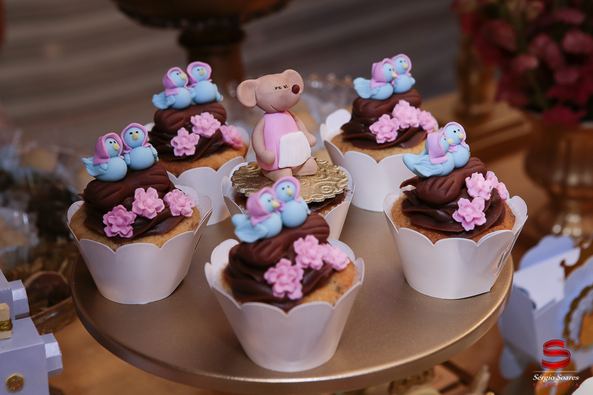 fotografia-fotografo-fotos-cuiaba-mt-sergio-soares-aniversario-julia