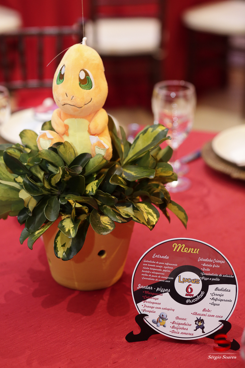 fotografia-fotografo-fotos-cuiaba-mt-sergio-soares-aniversario-infantil-pokemon-lucas