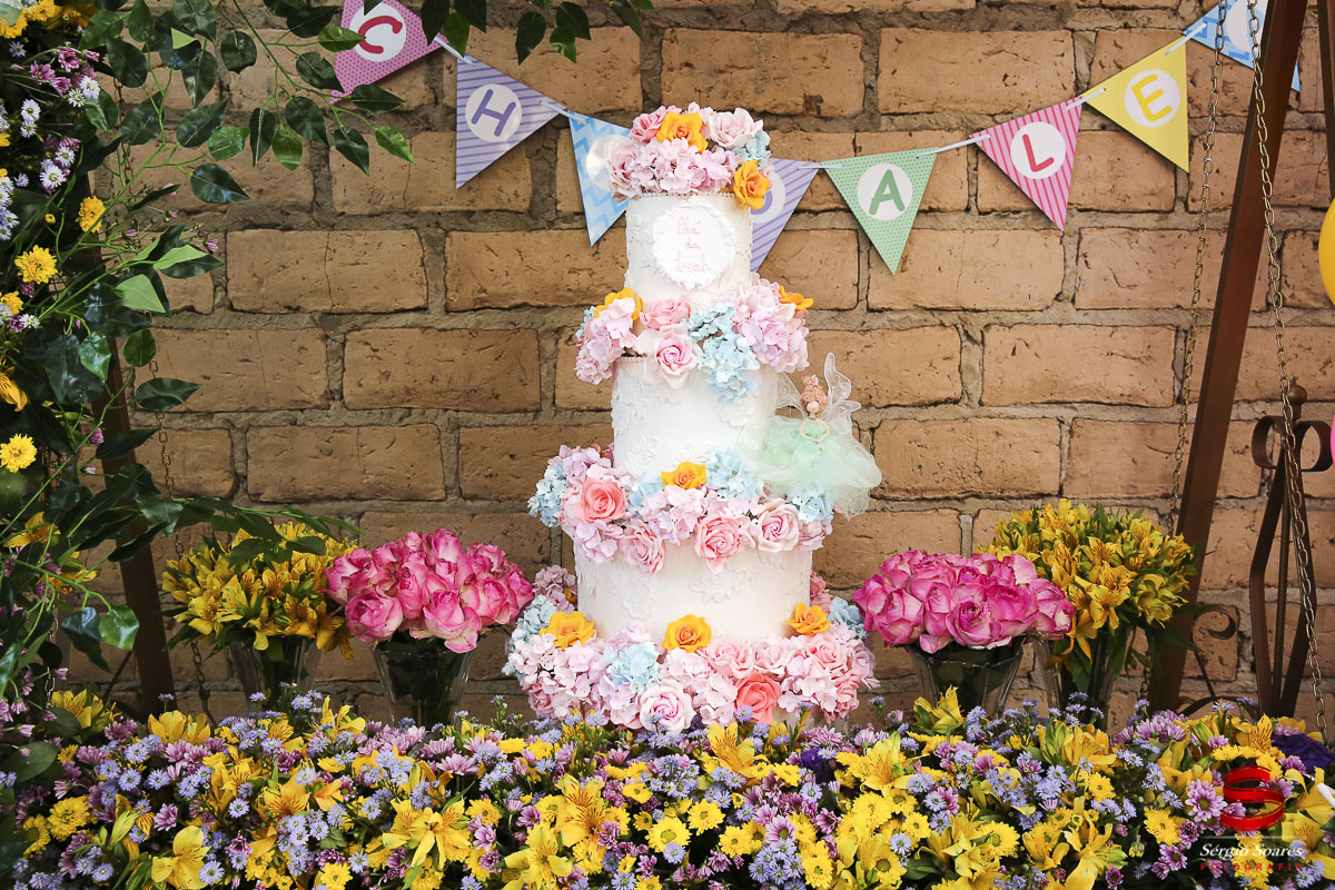 fotografia-fotografo-fotos-cuiaba-mt-sergio-soares-cha-de-bebe-izabela