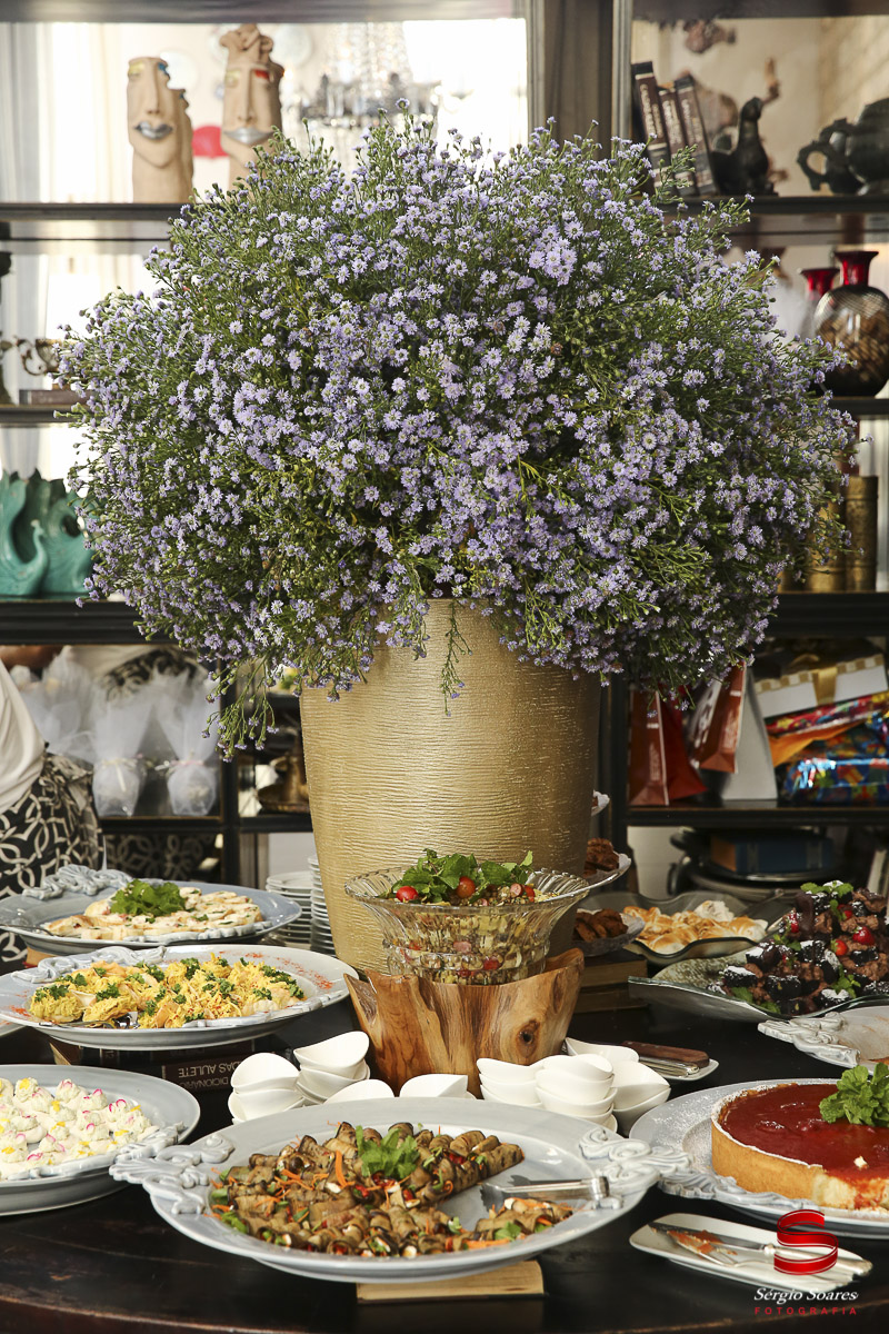 fotografia-fotografo-fotos-cuiaba-mt-sergio-soares-cha-de-bebe-izabela