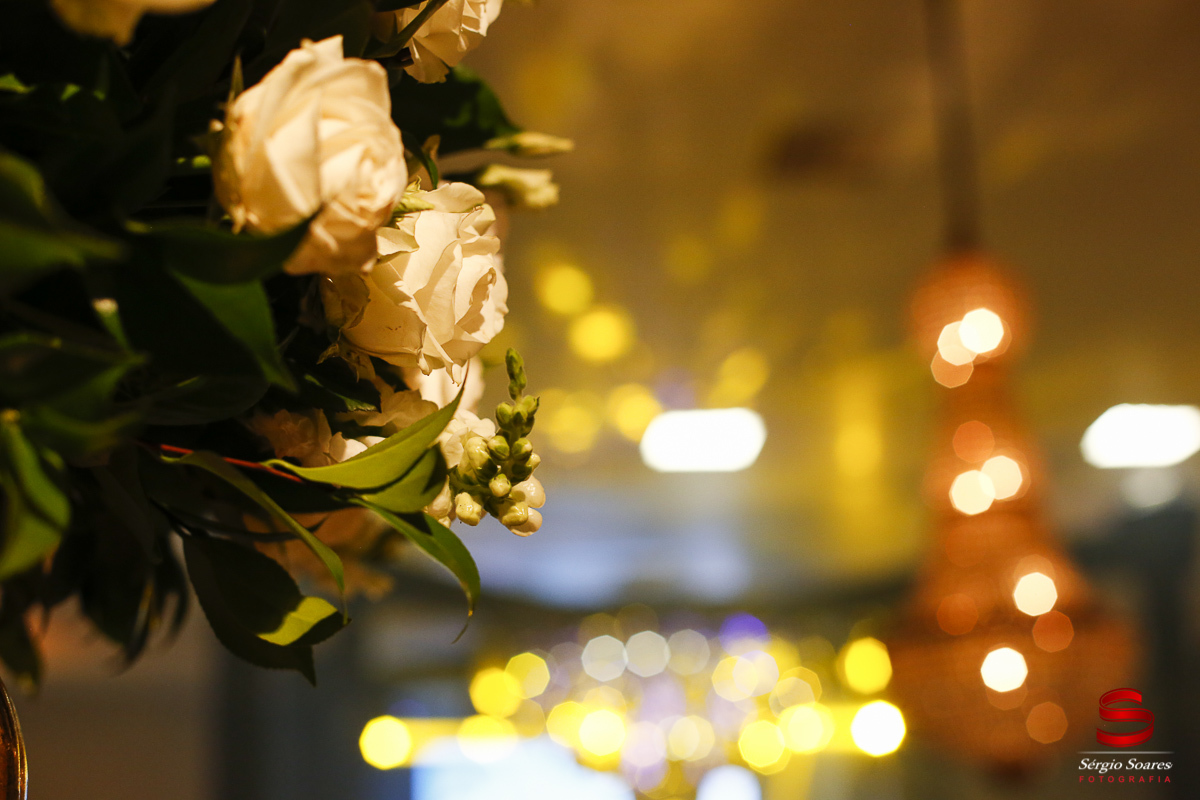 fotografia-fotografo-fotos-cuiaba-mt-sergio-soares-noiva-noivo-casamento-fotos-de-casamento-franciele-rafael-la-provance