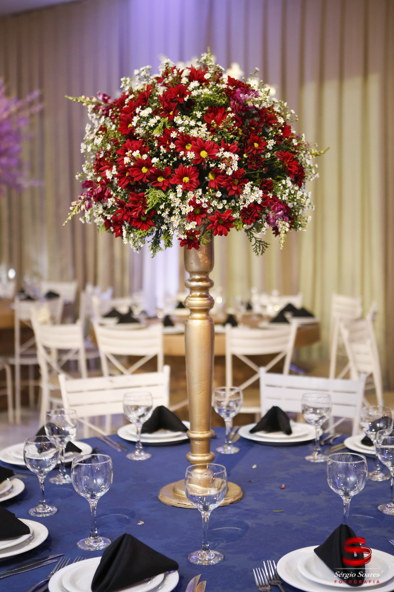 fotografia-fotografo-fotos-cuiaba-mt-aniversario-15-gabriela