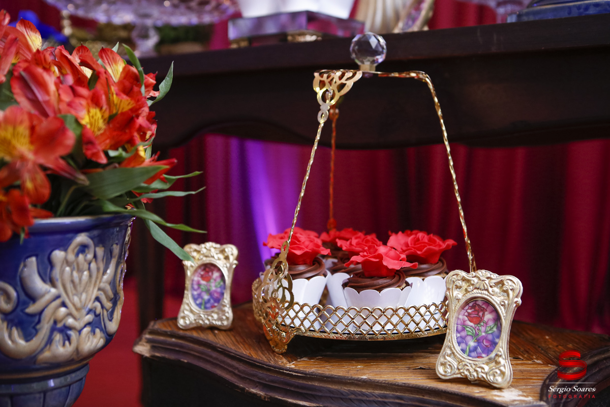 fotografia-fotografo-fotos-cuiaba-mt-aniversario-15-gabriela