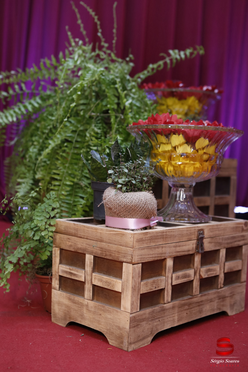 fotografia-fotografo-fotos-cuiaba-mt-aniversario-15-gabriela