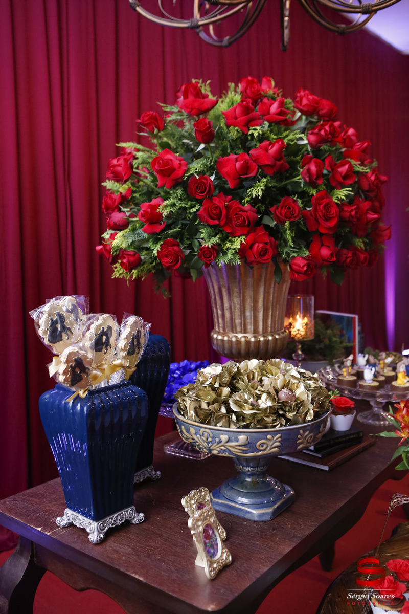 fotografia-fotografo-fotos-cuiaba-mt-aniversario-15-gabriela