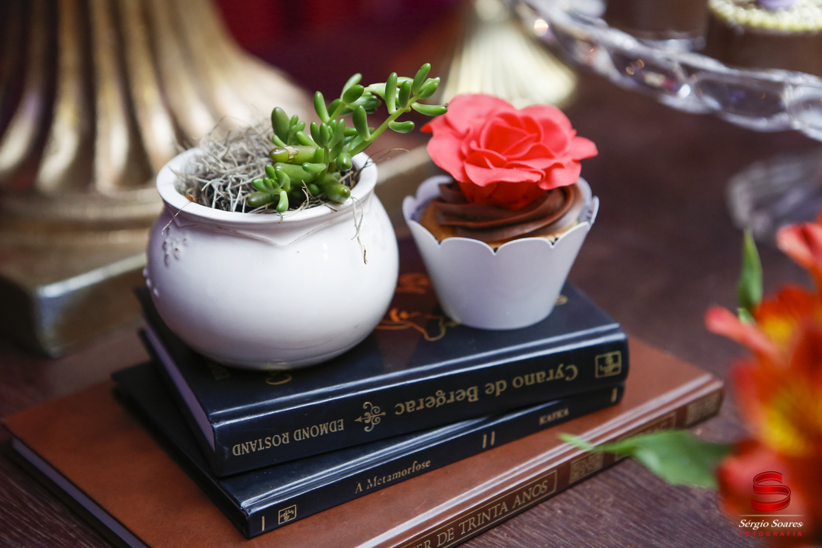 fotografia-fotografo-fotos-cuiaba-mt-aniversario-15-gabriela