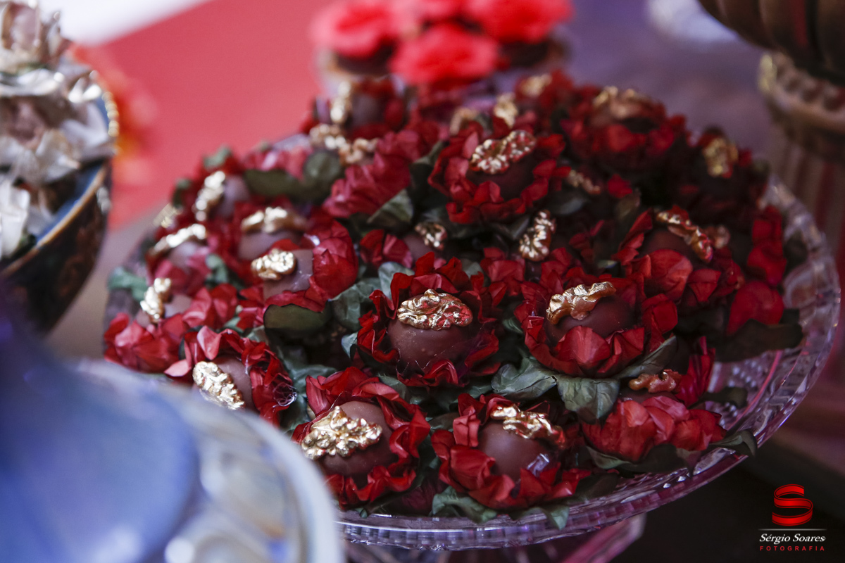 fotografia-fotografo-fotos-cuiaba-mt-aniversario-15-gabriela