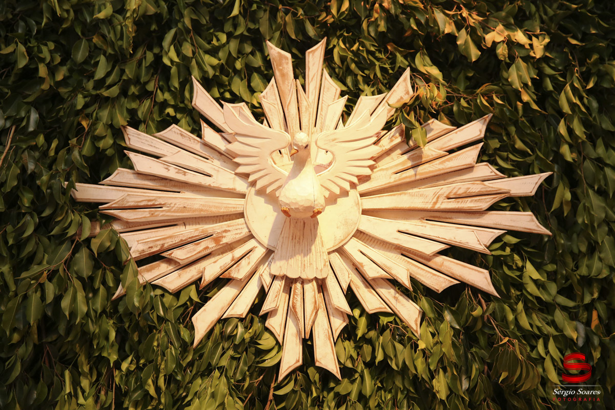 fotografia-fotografo-fotos-bodas-de-ouro-louise-salem