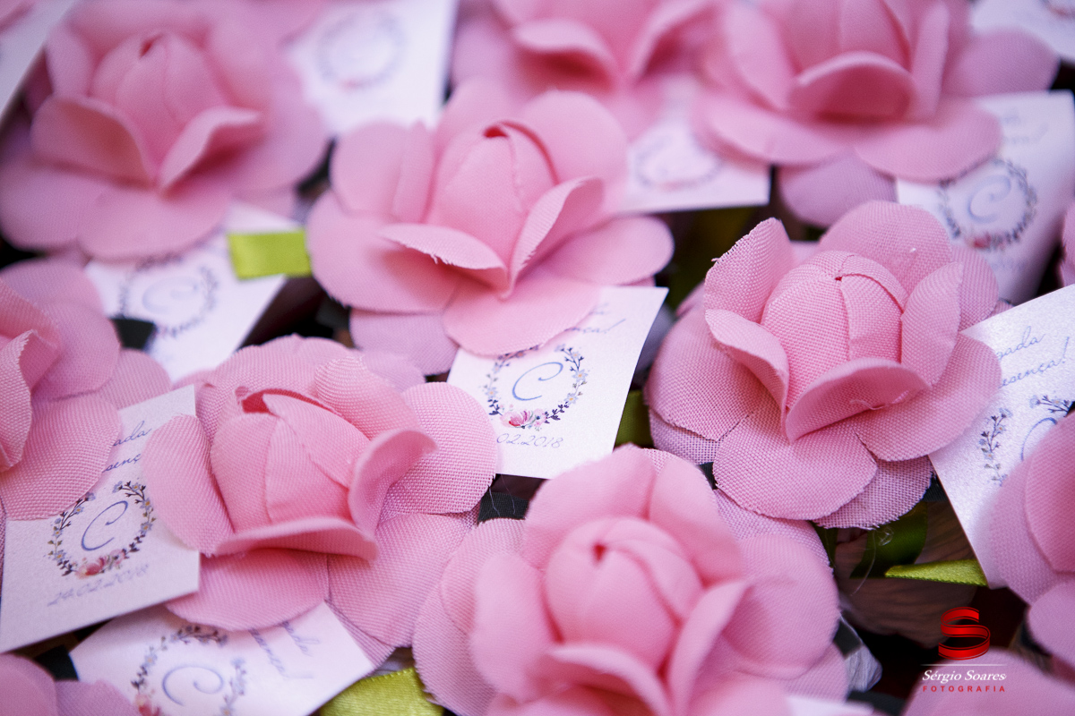 fotografia-fotografo-fotos-cuiaba-mt-sergio-soares-aniver-niver-15-anos-xv-anos-cecilia-stelata