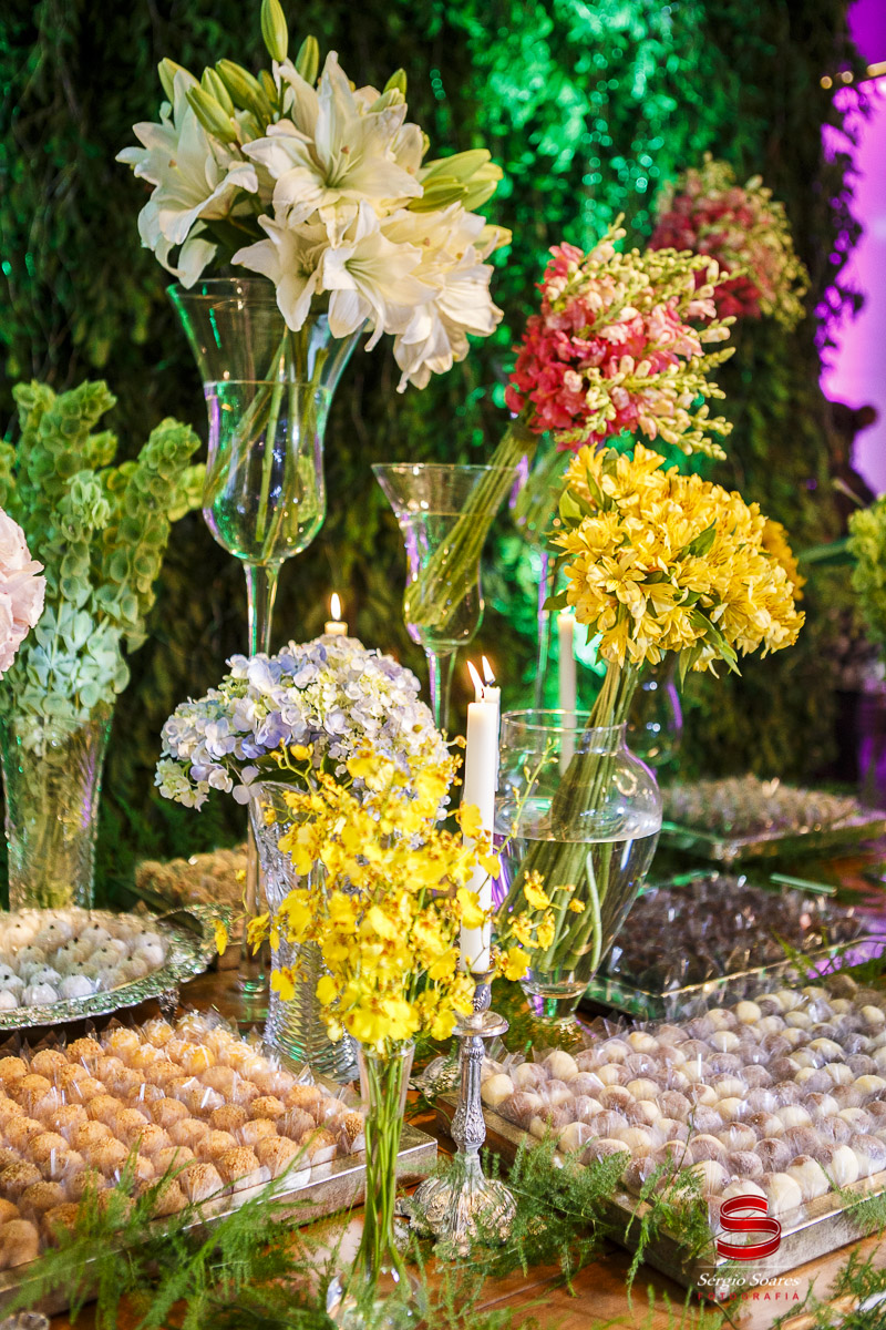 fotografia-fotografo-fotos-cuiaba-mt-sergio-soares-aniver-niver-15-anos-xv-anos-cecilia-stelata